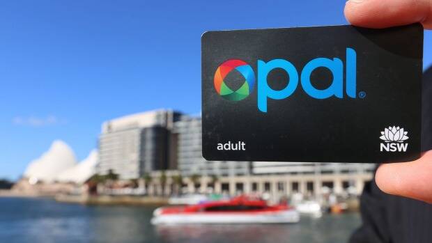 How the Opal card is failing commuters