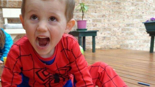 William Tyrrell was three years old when he vanished while playing at his grandmother's house on the NSW Mid North Coast in 2014. Photo: Supplied