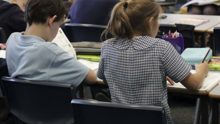 Primary schools bursting at the seams in north Sydney: State public schools are facing an overcrowding crisis.