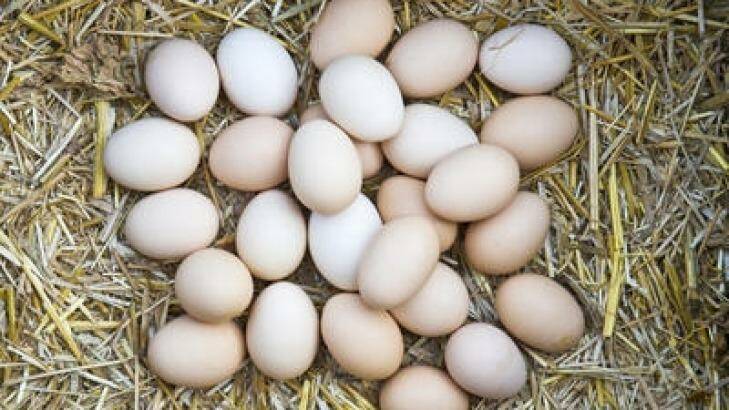 Many egg producers have been fined for misleading free range eggs claims.