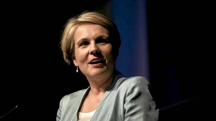 Deputy Opposition Leader Tanya Plibersek says  the best outcome for Australia ''is to have strengthened, closer relationships''  with China and the US. Photo: dom@dominiclorrimer.com