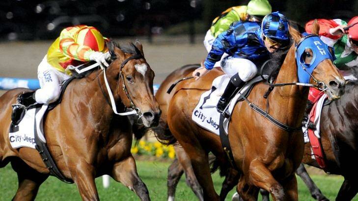 Who's the best? ... Lankan Rupee, left, and Buffering will clash in the Manikato Stakes on Friday night