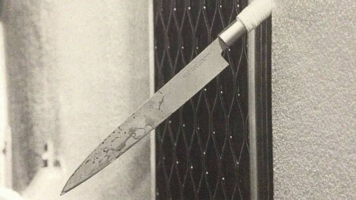 "It was so sharp": The bloodstained knife on which it is claimed Jenny Lee Cook impaled herself.