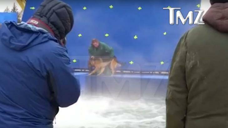 The film is facing a boycott after leaked footage show's alleged cruelty to a German Shepherd. Photo: TMZ