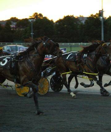 No more: Bathurst Showgrounds will host it's final harness racing meeting today.