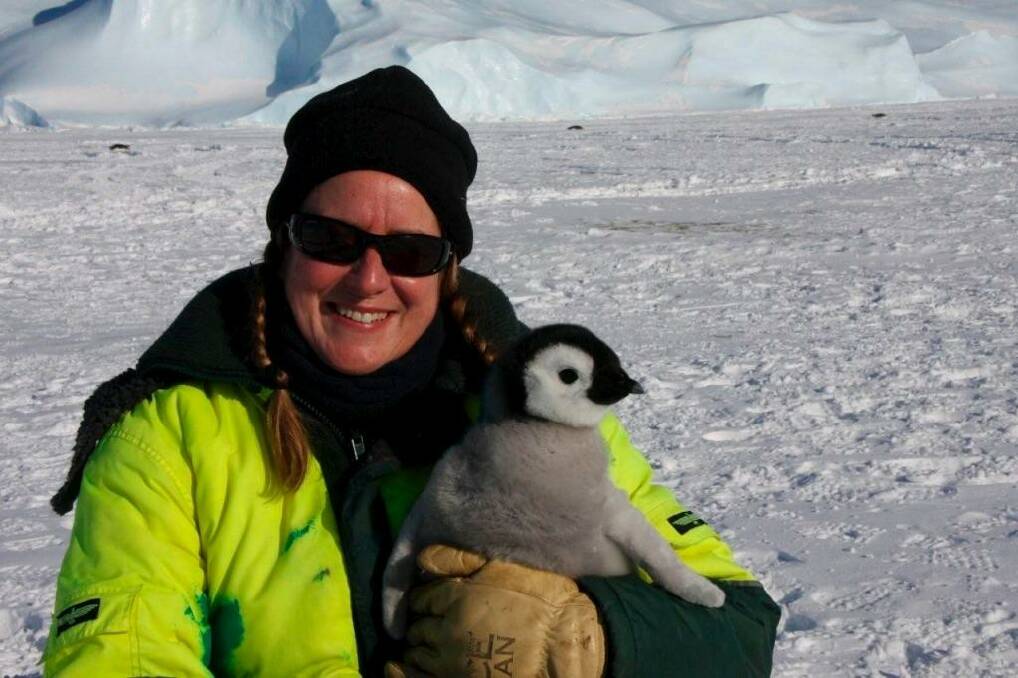 Narelle Campbell, a station leader in the Australian Antarctic Territory, is one of the NSW finalists.