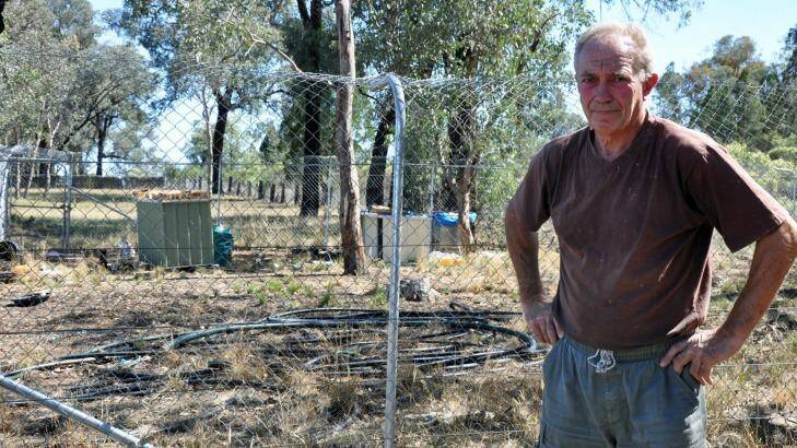 Keith Climpson on the boundary line between his property and 'Camp Kitty.' Photo: Cowra Guardian