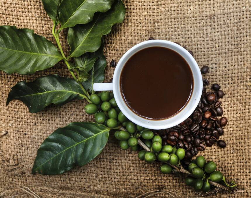 coffee beans 48 antioxidant plants, coffee, blueberries, tomatoes