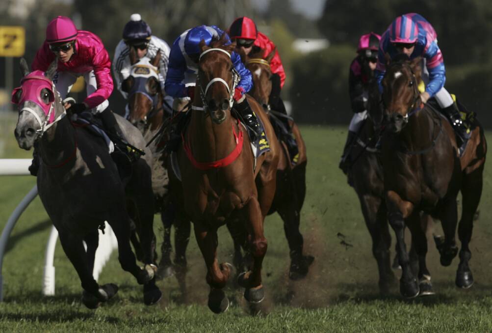 Hot to trot: Guineas Day will be a jam-packed schedule of live racing, entertainment and glamour. Picture: Mick Tsikas