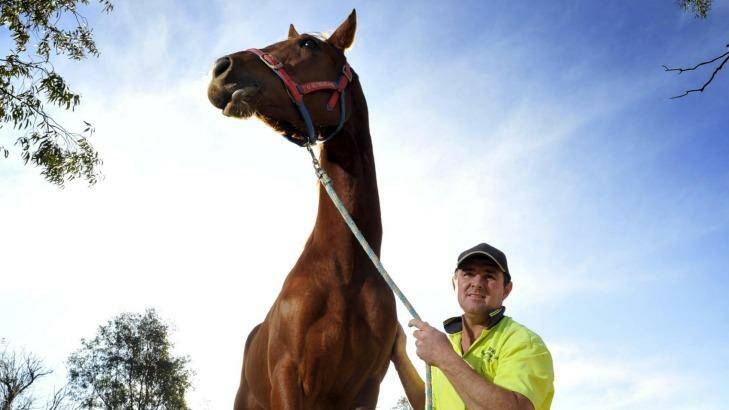 No bones about it: Spare Parts with owner Trevor Sutherland at his stables in Wagga Wagga. Photo: Les Smith