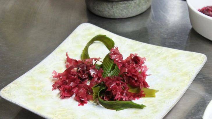 Cetos SaltnPepper from <i>Coastal Chef: Culinary Art of Seaweed and Algae in the 21st Century.</i> Photo: Nikki Wright