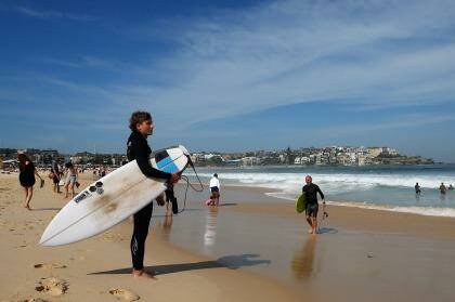 Beach time for Sydney. Photo: Daniel Munoz