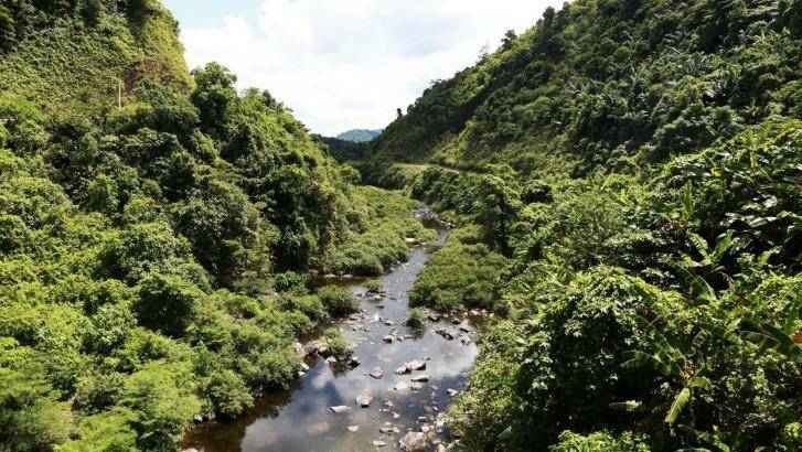 Vietnam's Khe Nuoc Trong forest has retained just 30 per cent of its original natural vegetation. Photo: Truong Van Vi