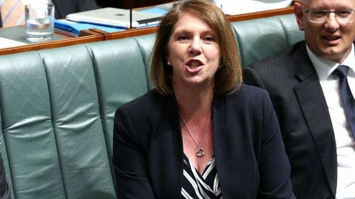 Catherine King has called for any savings found in the review to be reinvested in health care.  Photo: Alex Ellinghausen