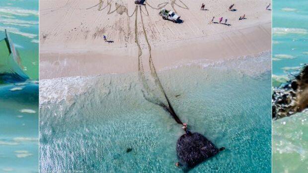 The Salmon bleeding at Smiths Beach captured by drone. Photo: Ian Wiese

